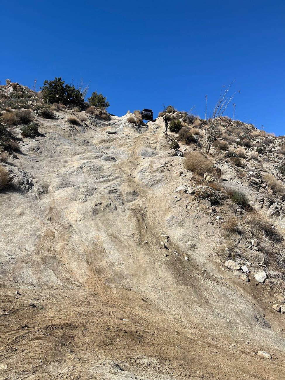 Jeep Wrangler JL 3/8 Pinyon Mountain IMG_4267