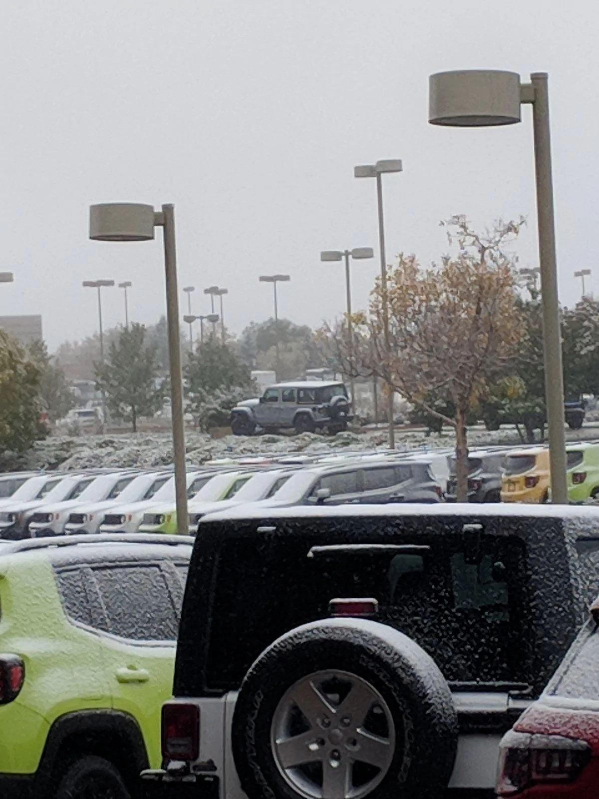 Jeep Wrangler JL Jeep humor waiting room ( ** NO POLITICS ** ) IMG_20181010_080834
