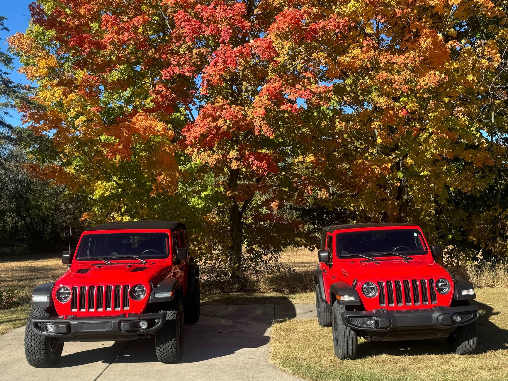 Jeep Wrangler JL A Two-Wrangler Family IMG_4016
