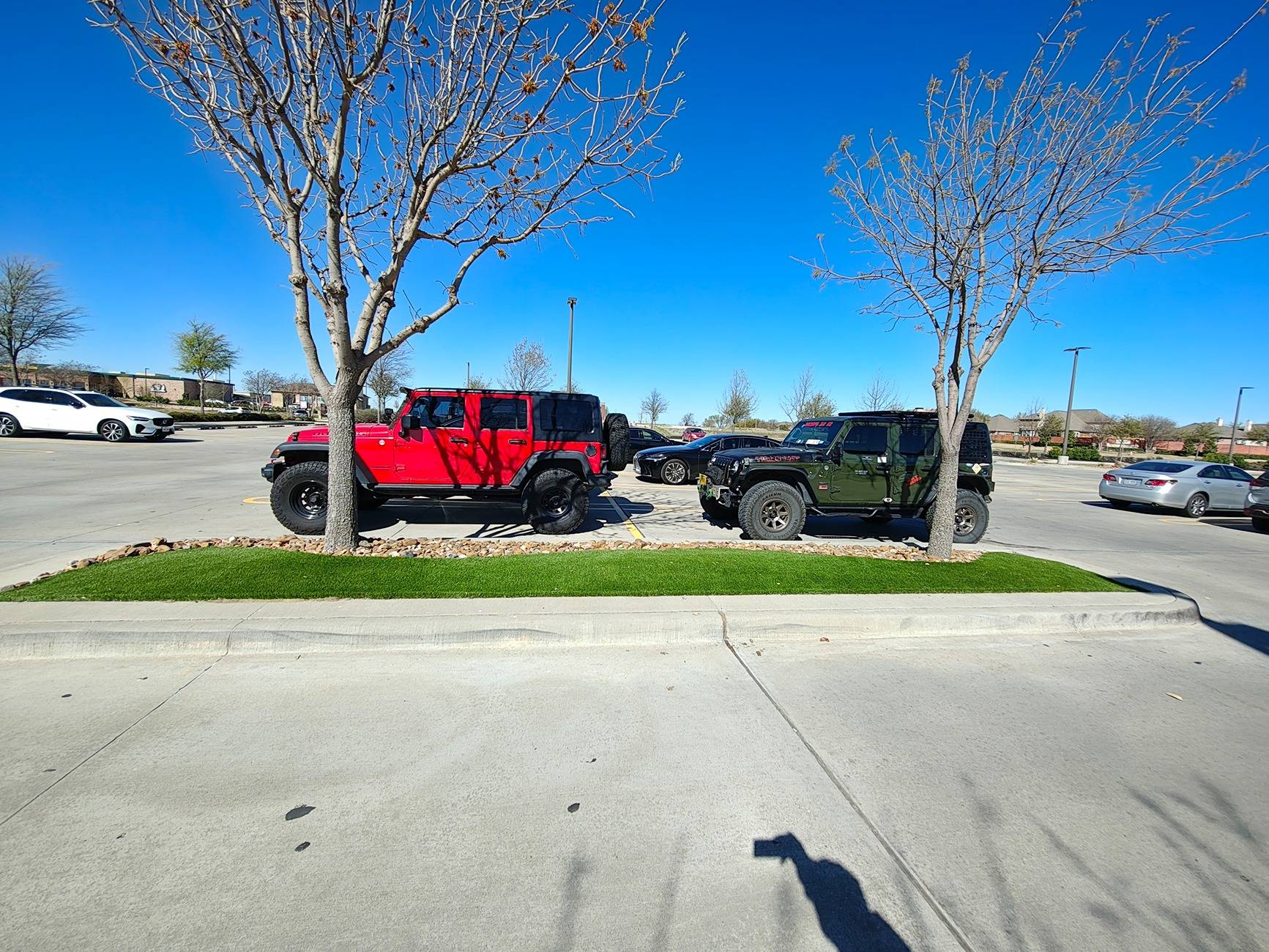 1000009661.jpg