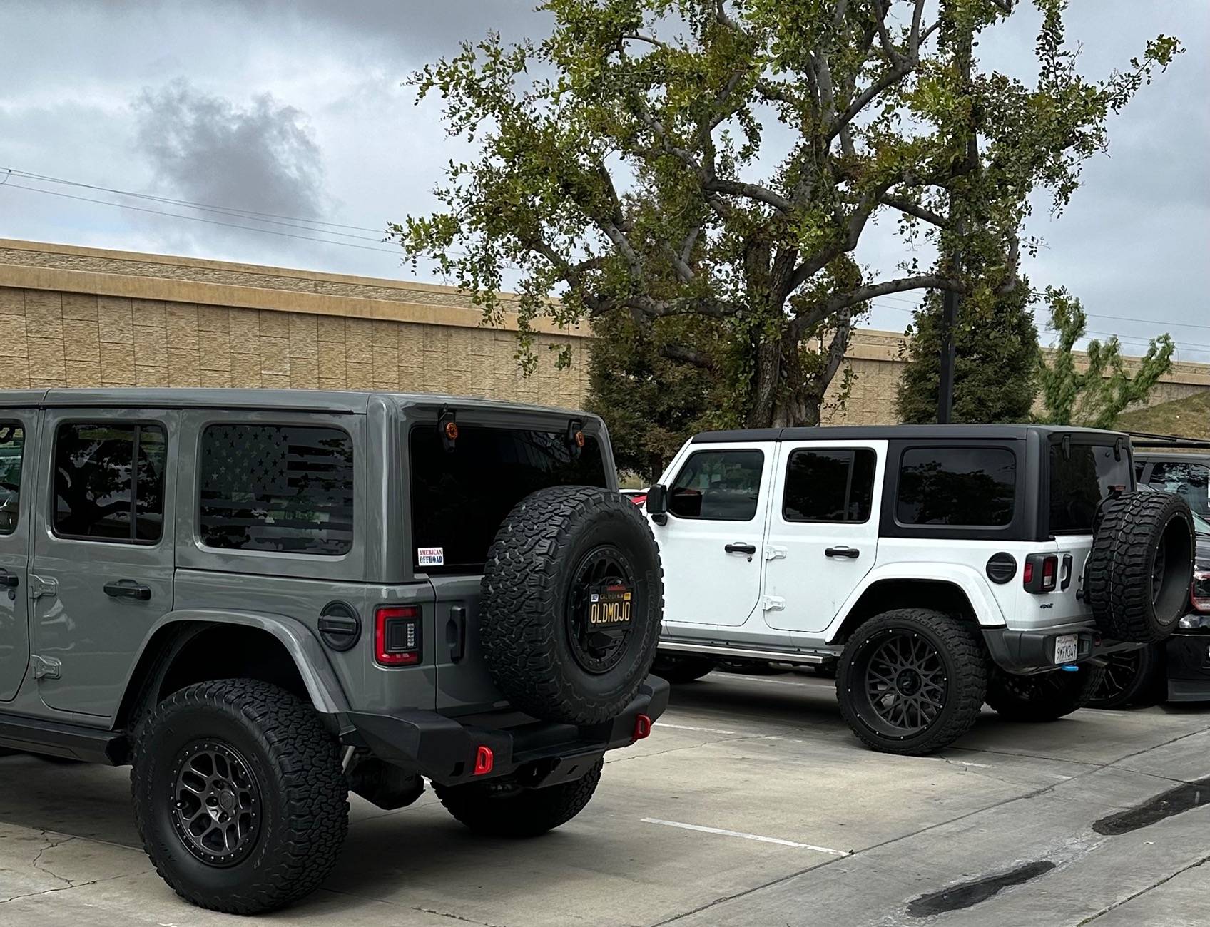 Jeep Wrangler JL Jeeps parking next to Jeeps... post yours! IMG_0691