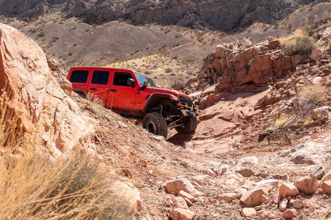 Jeep Wrangler JL Cool Daily Random JL pics. Pics. Pics, pics, pics! FB_IMG_1743959692943