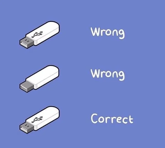 3623D1BC-65BA-40A5-959C-4931D729257B.webp