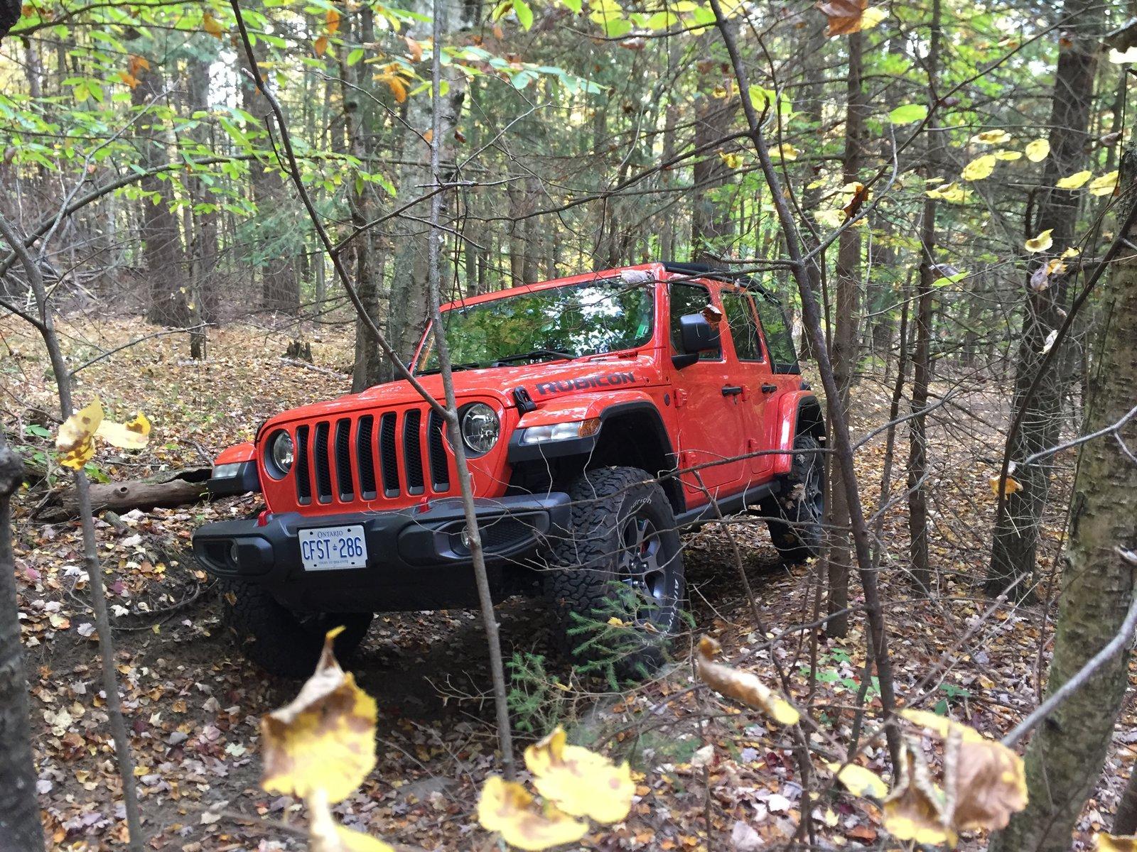Jeep Wrangler JL What did you do WITH your Jeep today. 53E30AA2-FC4F-44D4-AED8-A6A8375D57B9