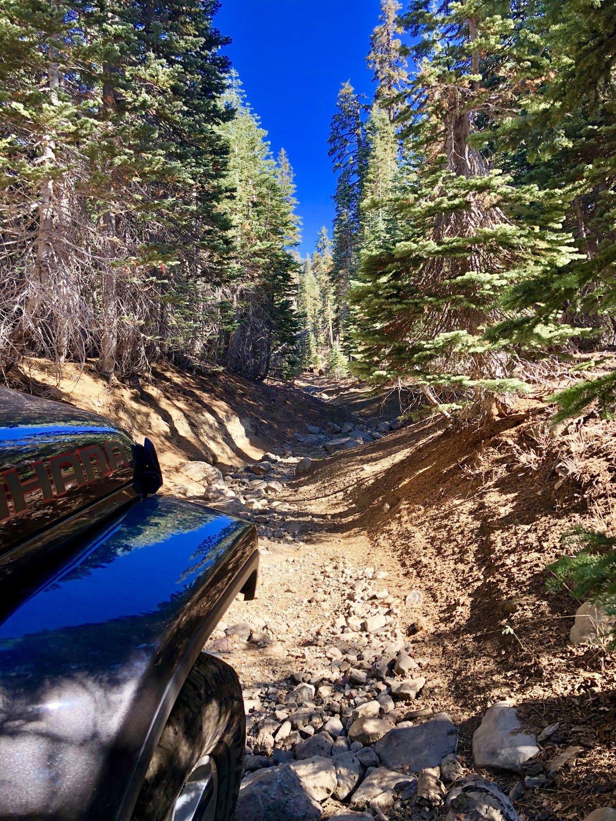 Jeep Wrangler JL What did you do WITH your Jeep today. 47D18E88-55FD-4AA9-80B9-131E8CB0825F