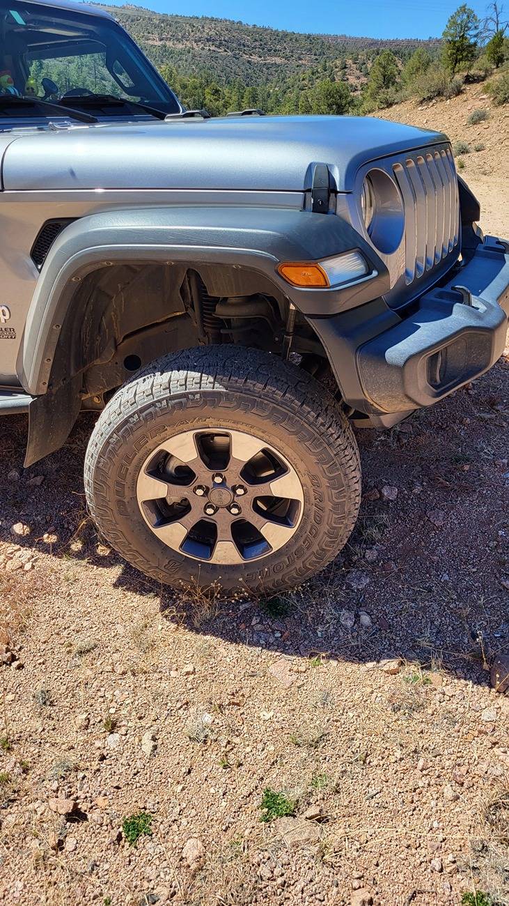 Jeep Wrangler JL Tire Rabbit Hole 20250325_140126