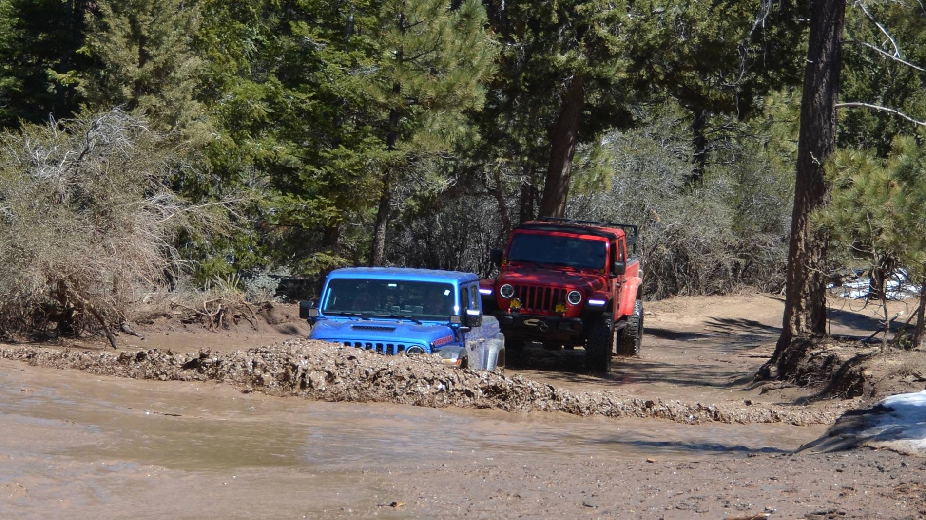 Jeep Wrangler JL Factory Snorkel Option? D7P_5939