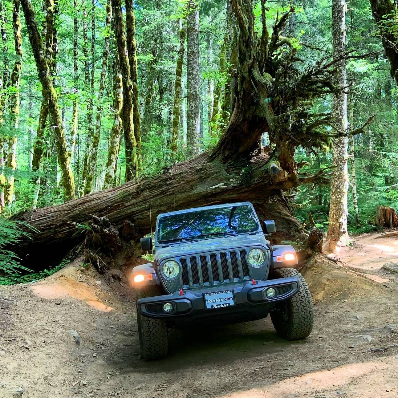 Jeep Wrangler JL What’s your first Jeep memory? 8913BD84-FE69-4C94-8C06-7DF3223F19FC