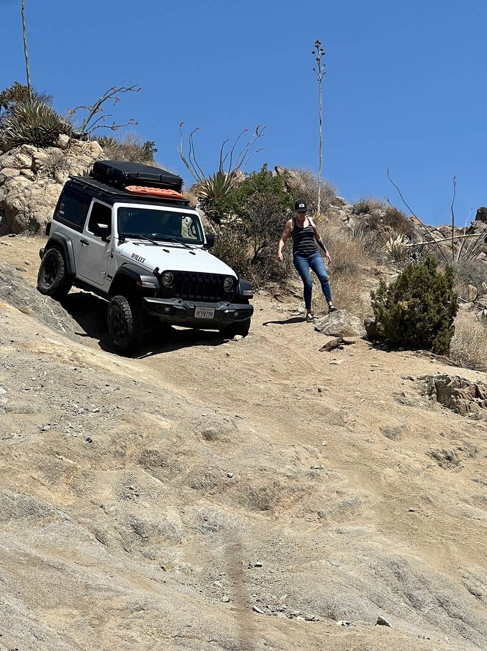 Jeep Wrangler JL The Dirty White Willy 1000010212