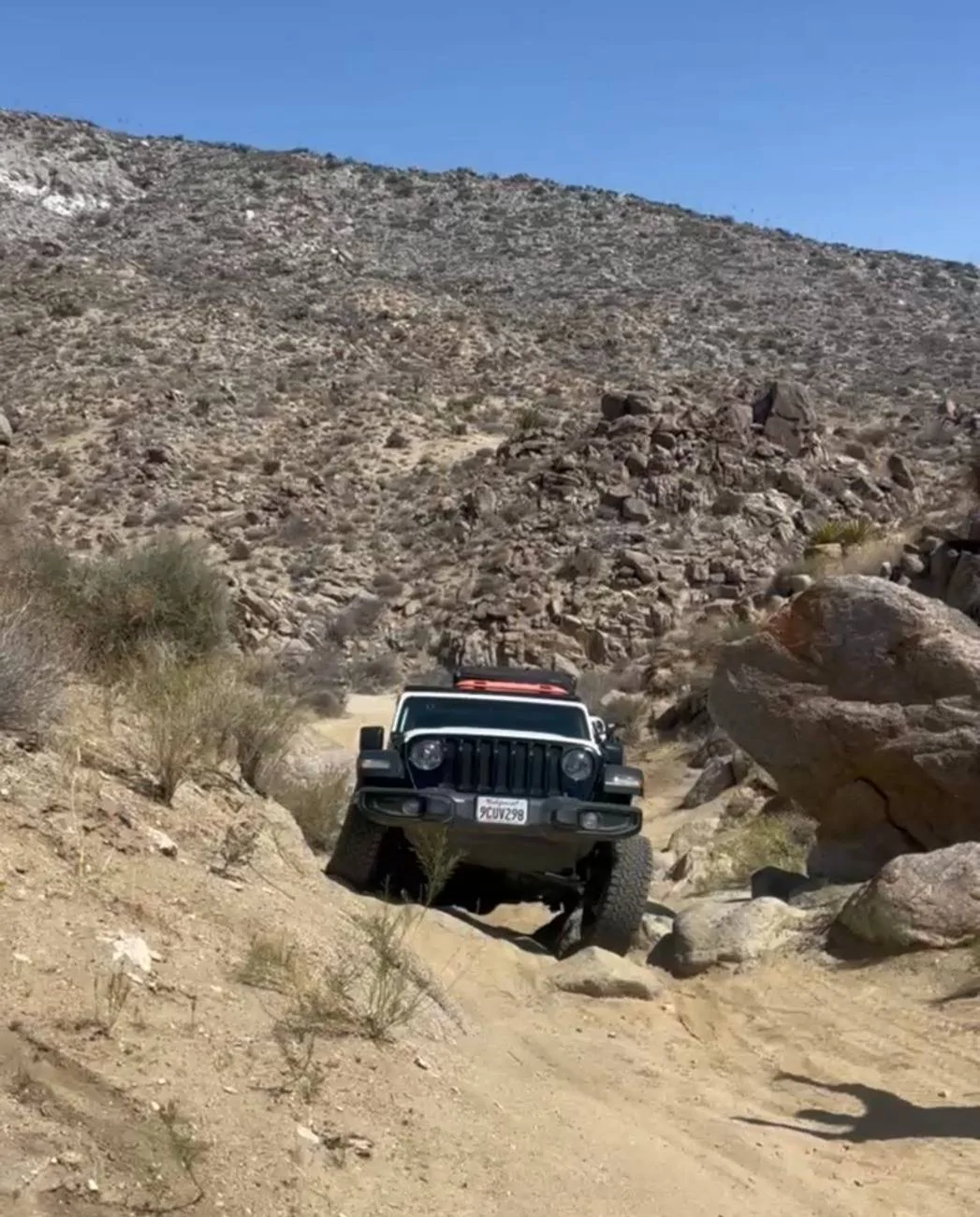 Jeep Wrangler JL The Dirty White Willy 1000010268