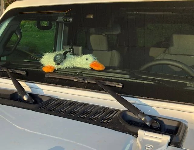 Jeep Wrangler JL Got myself a new duck IMG_2445