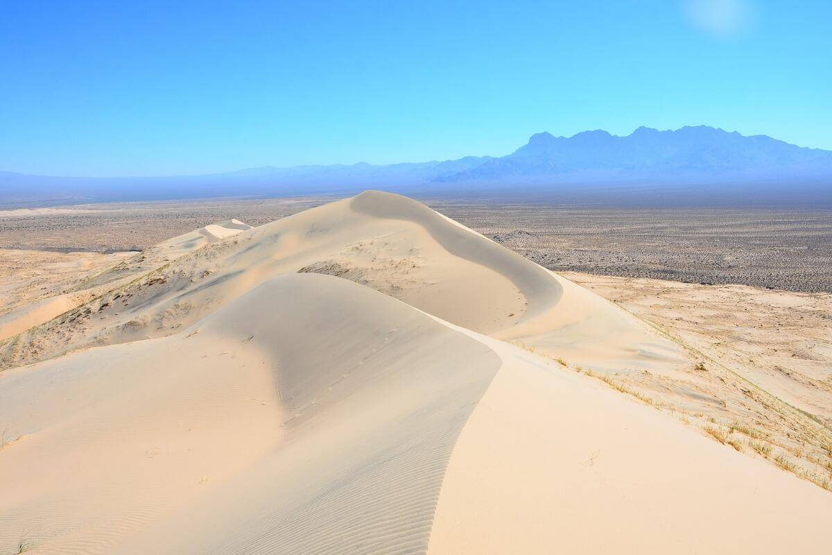 Jeep Wrangler JL Where do you Beach Drive?? nes-in-the-US-kelso-dunes-Mojave-National-Preserve