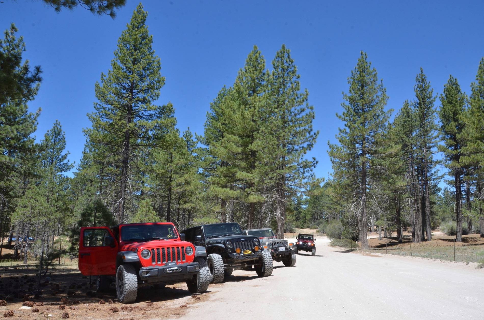 Jeep Wrangler JL Jeeps parking next to Jeeps... post yours! D7P_0888