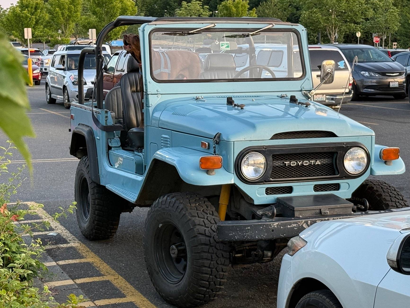 Jeep Wrangler JL Jeeps parking next to Jeeps... post yours! IMG_3749