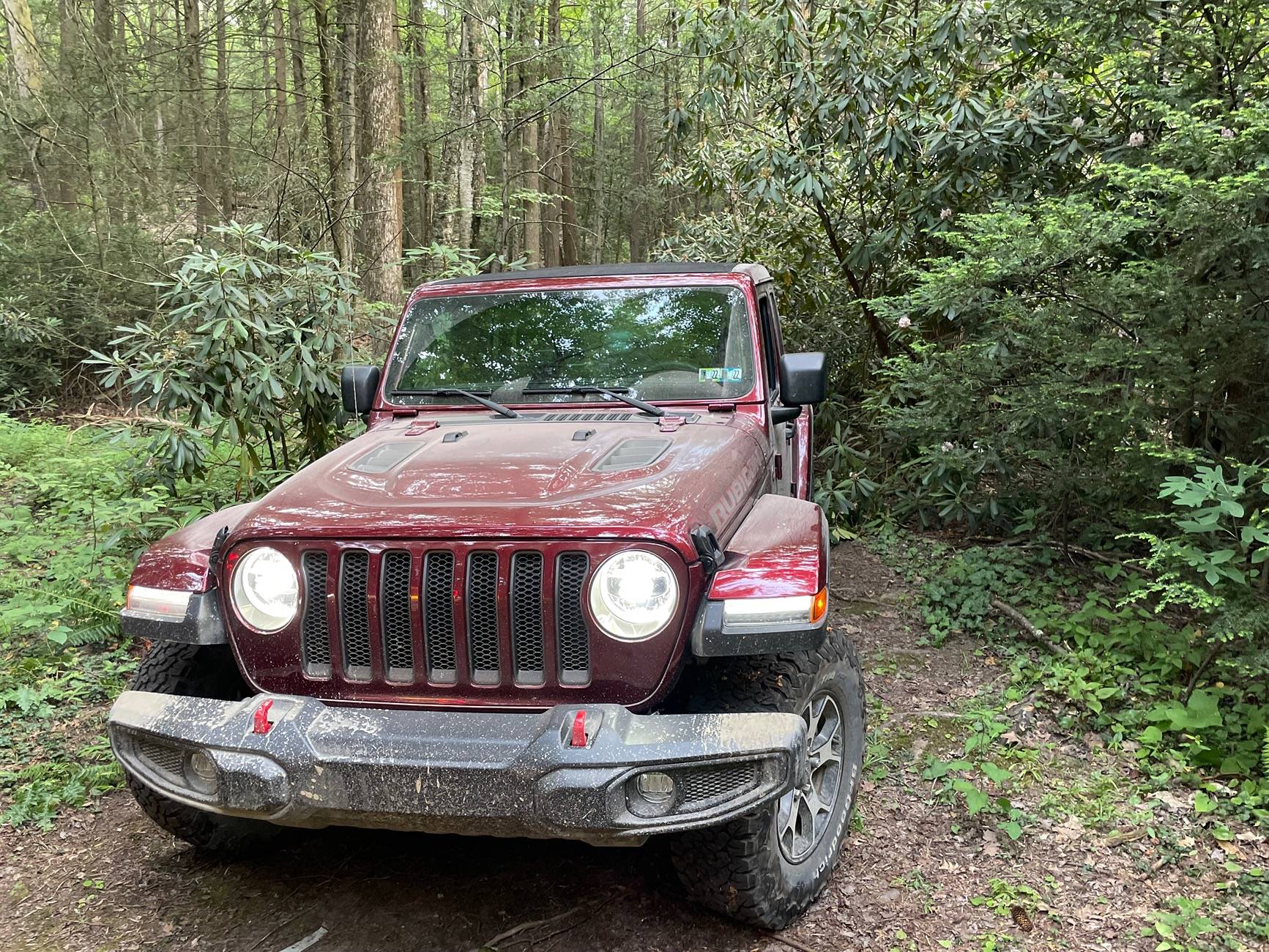 Jeep Wrangler JL Pa state parks/Fire trails etc 68030945111__34077B15-7F33-4C50-AD0E-BF0237EAE704