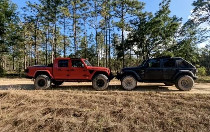 Trail stompin' out at Citrus wildlife management area!