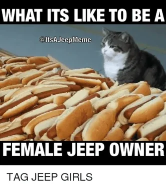 Jeep Wrangler JL Jeep humor waiting room ( ** NO POLITICS ** ) what-its-like-to-be-a-coltsajeepmeme-female-jeep-owner-353413