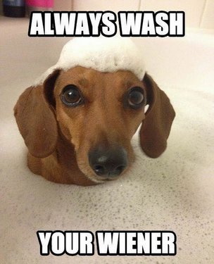 Jeep Wrangler JL Jeep humor waiting room ( ** NO POLITICS ** ) 11934932_954072454652583_584403563212772141_n