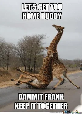 Average+sunday+morning+me+and+a+buddy+after+clubbing_d40f71_4971073.webp