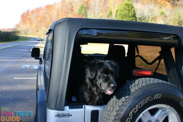 Jeep Wrangler JL Straps w dual top??? how-to-roll-jeep-wrangler-rear-window-