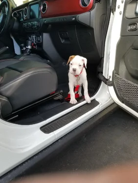 Jeep Wrangler JL I'm a dad! 20180506_171830