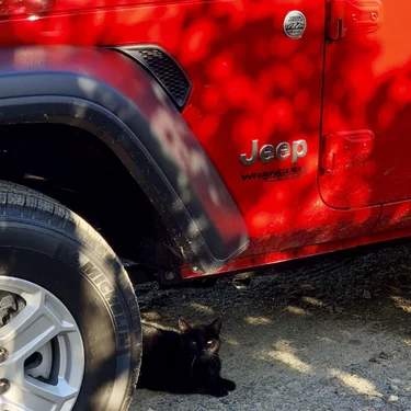 Jeep Wrangler JL 2 DOOR JL build/order discussions master thread 2A11E889-0C9D-46D9-A09C-7D93979519A1