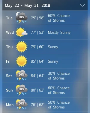 7C2547AC-682B-433F-BF07-DBF046BE95FC.webp