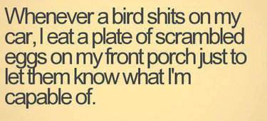 Jeep Wrangler JL Jeep humor waiting room ( ** NO POLITICS ** ) birds-taking-a-shit-on-my-car