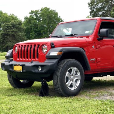 Jeep Wrangler JL Jeep humor waiting room ( ** NO POLITICS ** ) 2CDE1BAD-F7B6-4F41-BD69-734DCD2201C7