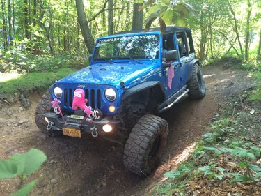 Jeep Wrangler JL ORDER TRACKING for your Jeep Wrangler EDA3E403-7981-4333-80EF-174AFF5007A2
