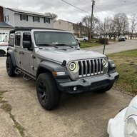 silverback24