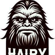 Hairy.Situation2018