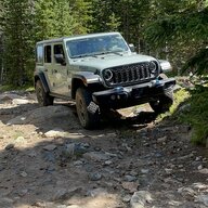 Willys_Nelson