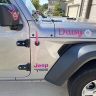 Daisy428