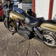 Fatbob Frank