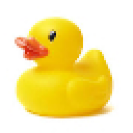 Judge_Duck
