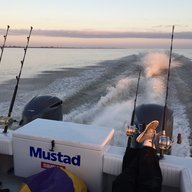 hookedtarpon