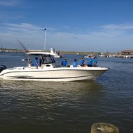 williamcr