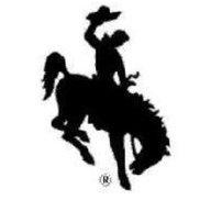 SaddleTramp