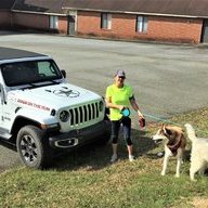 DogsOnTheRun
