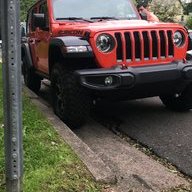 Gingerrubicon