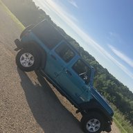 Ladybugg