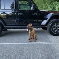 Baddog2020