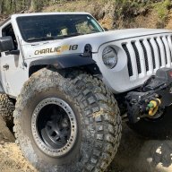 longleaf_JL