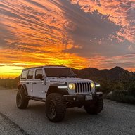Ferreefamilyjeepin