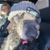 mdhaman