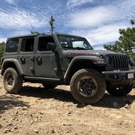GreyWolf137