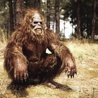 bigfootisrealyhairy