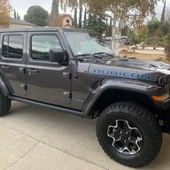 SilverBackJLCA