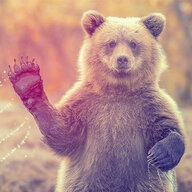 MrBear